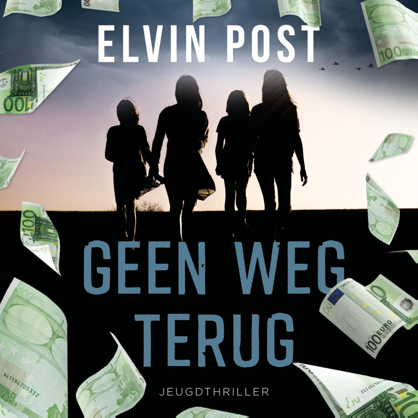 Omslag van Geen weg terug
