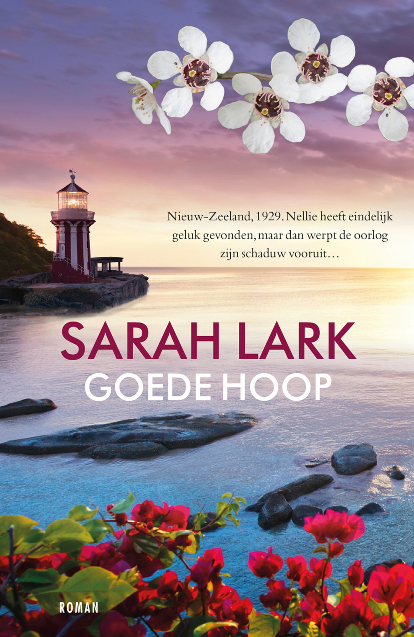 Omslag van Goede hoop