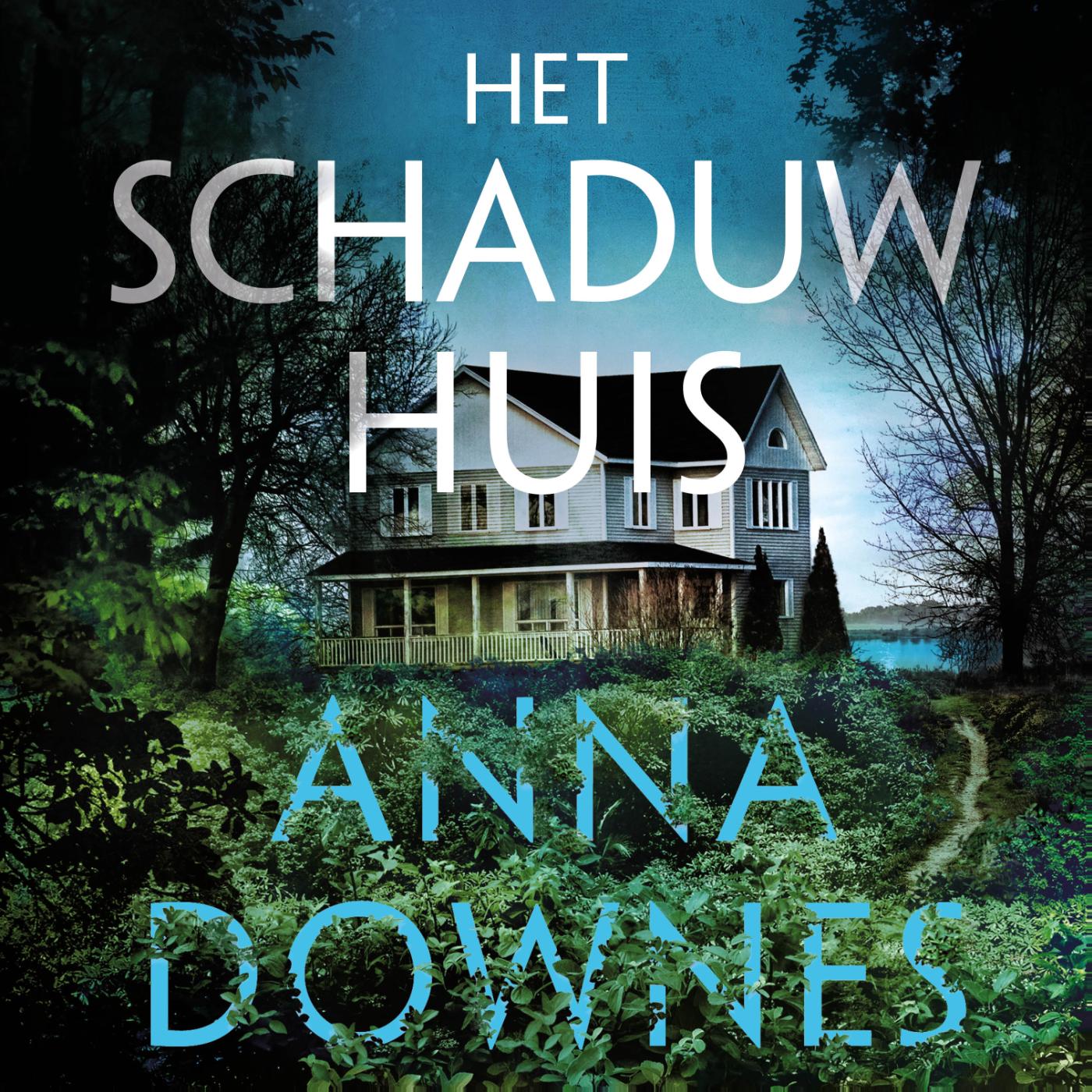 Omslag van Het schaduwhuis