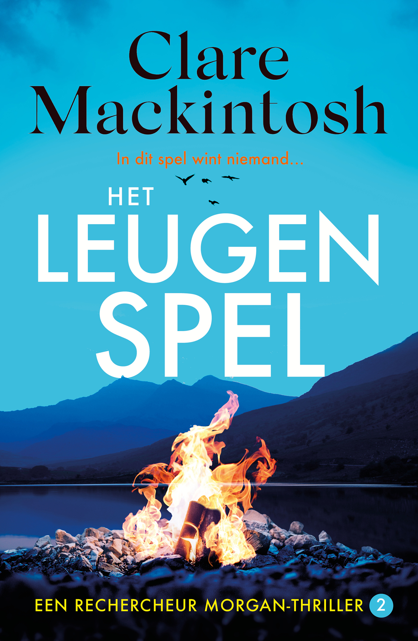 Omslag van Het leugenspel