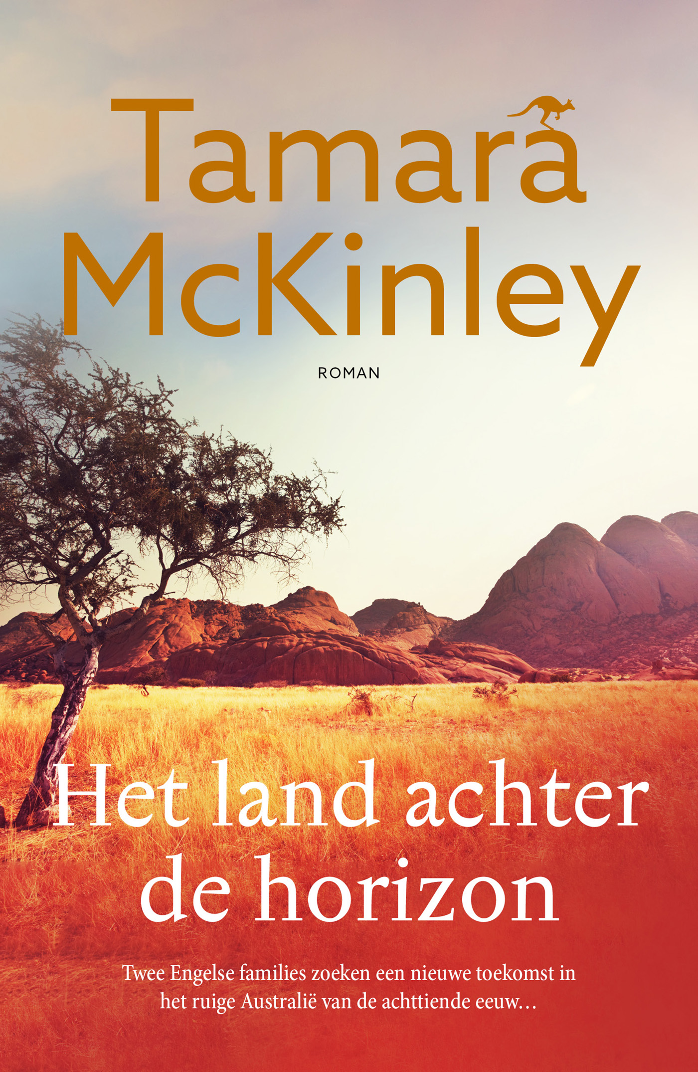 Omslag van Het land achter de horizon