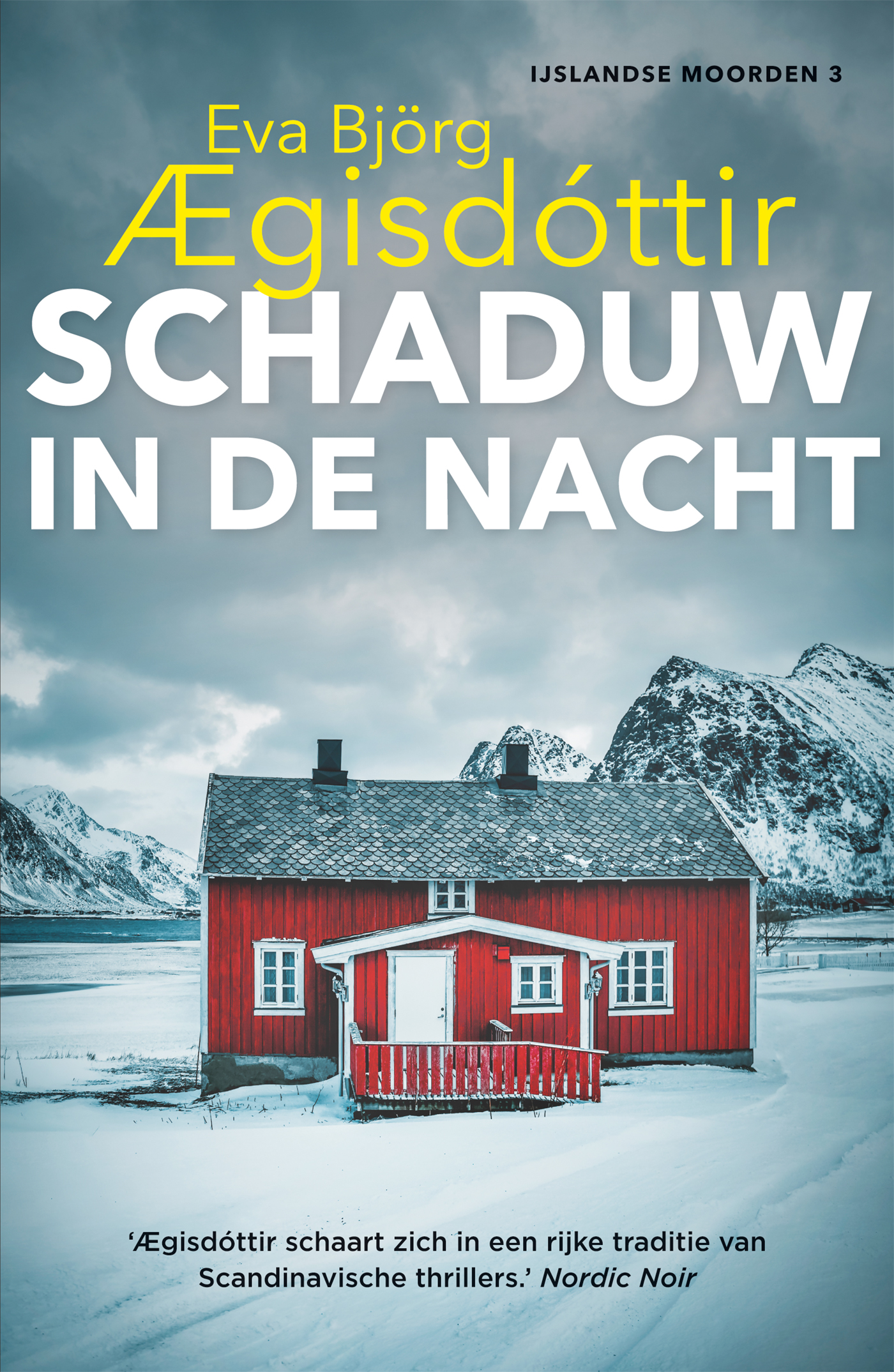 Omslag van Schaduw in de nacht
