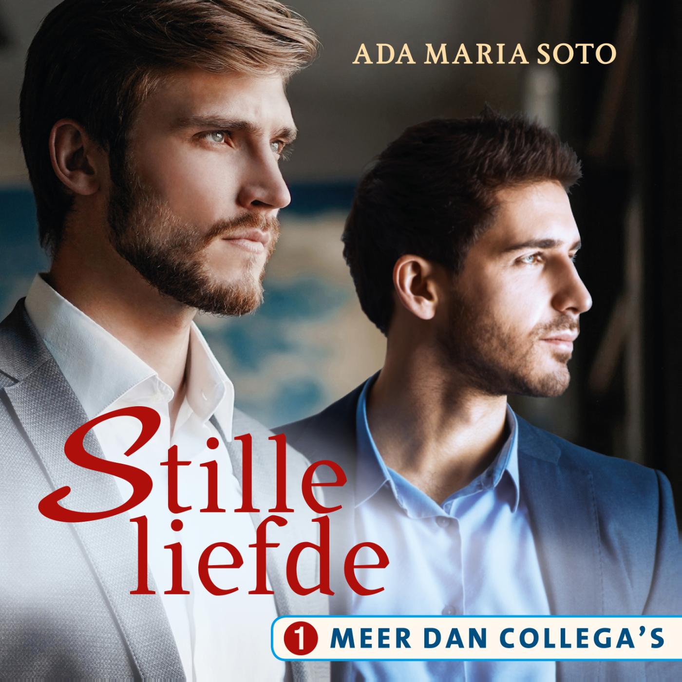 Omslag van Stille liefde