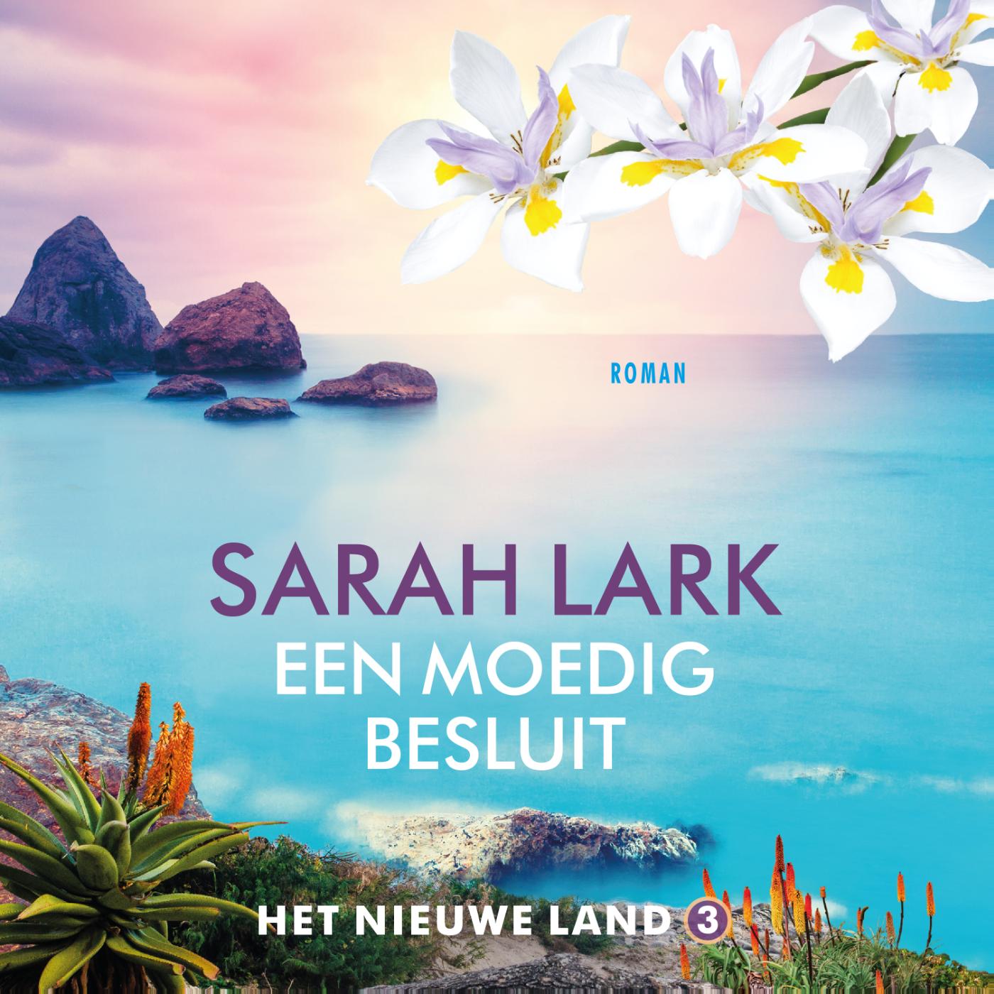 Omslag van Een moedig besluit
