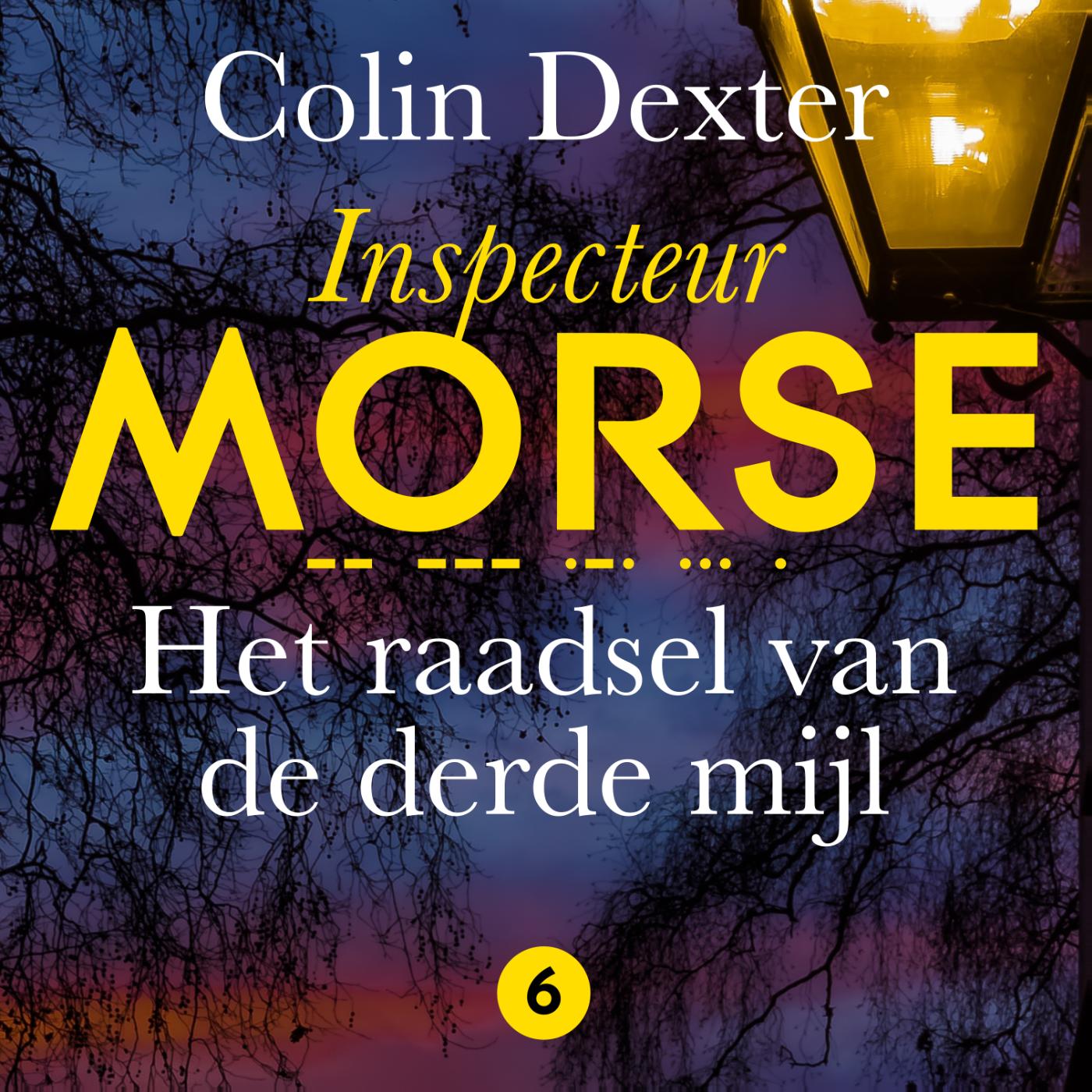 Omslag van Het raadsel van de derde mijl