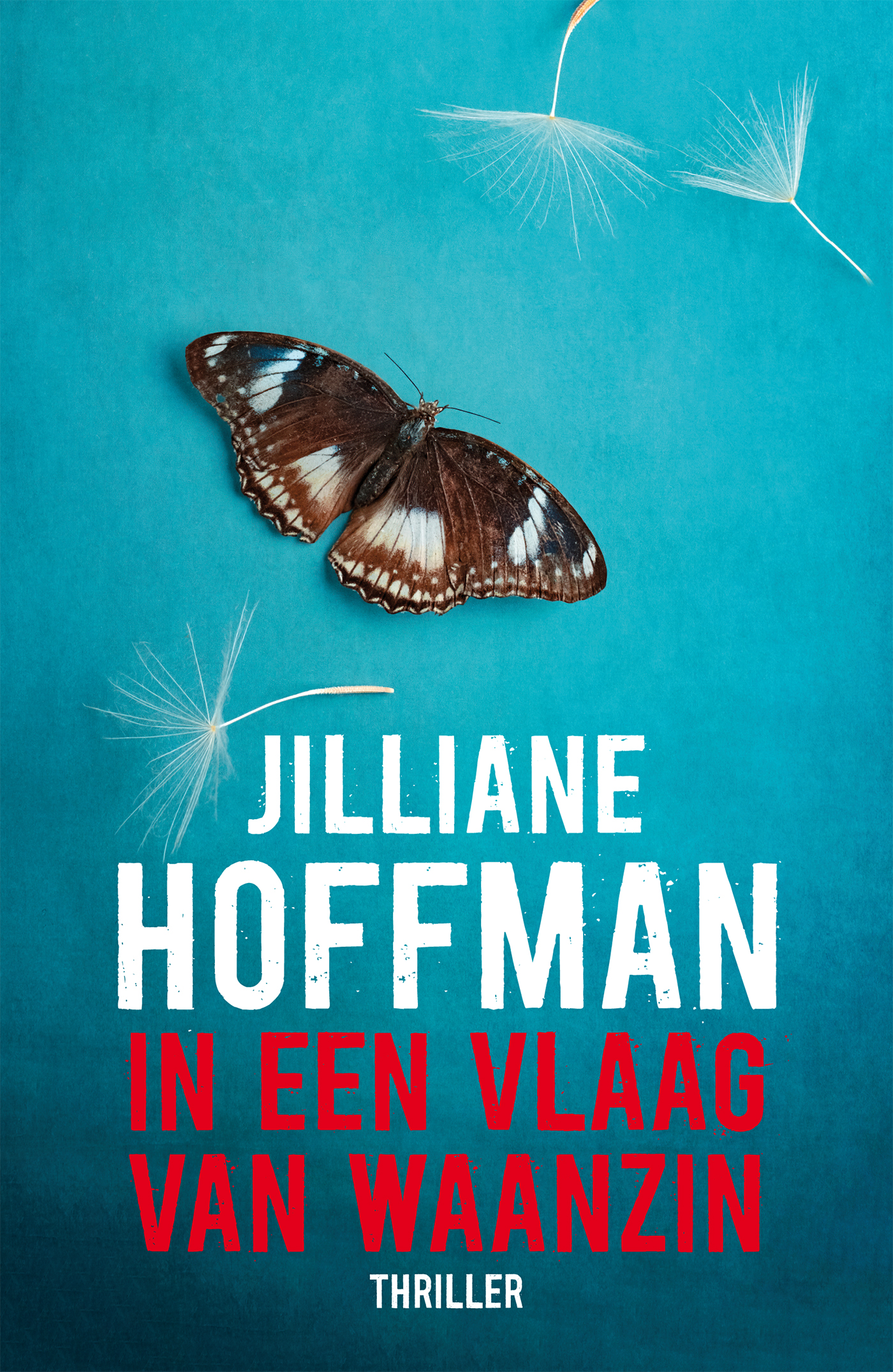Omslag van In een vlaag van waanzin