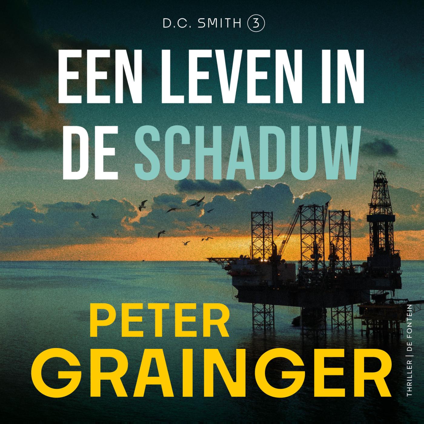 Omslag van Een leven in de schaduw