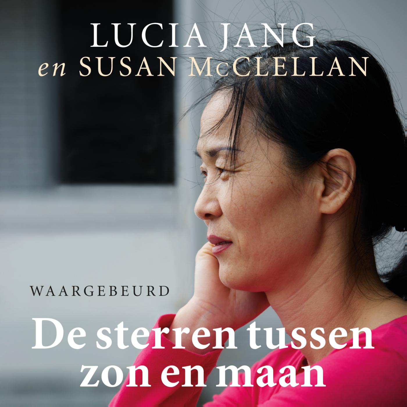 Omslag van De sterren tussen zon en maan