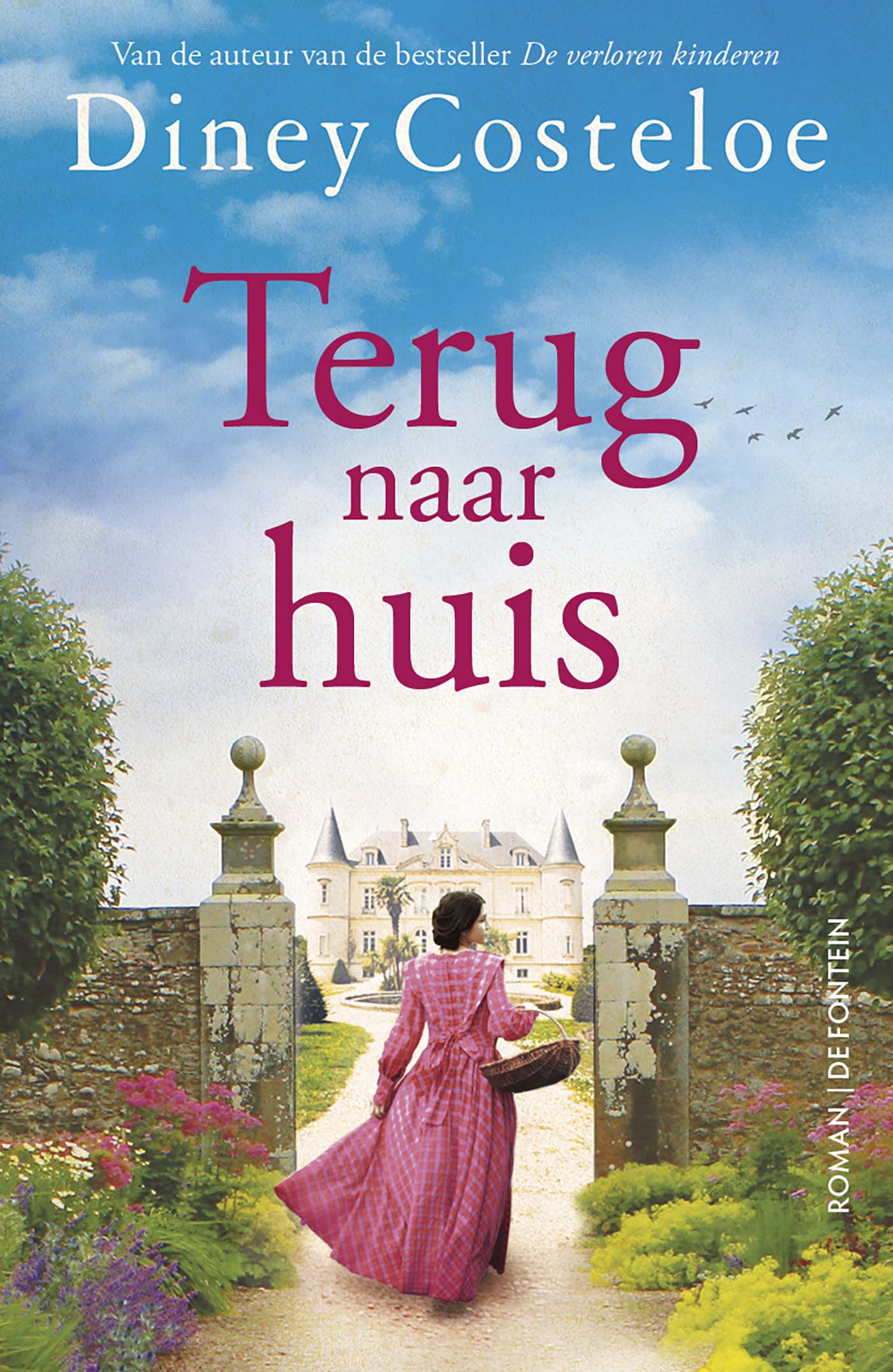 Omslag van Terug naar huis