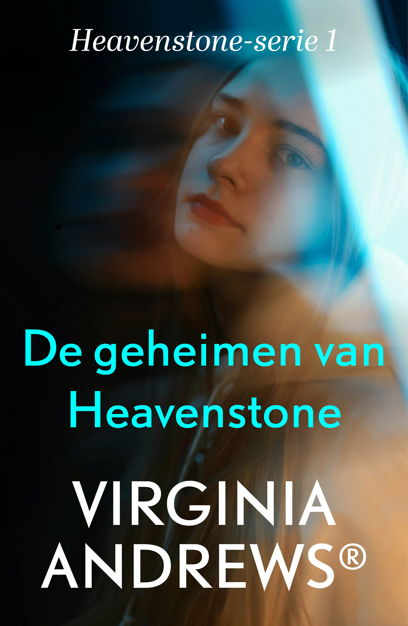 Omslag van De geheimen van Heavenstone