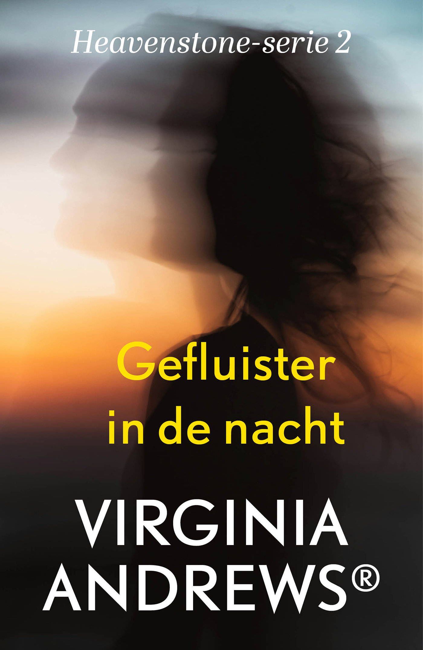 Omslag van Gefluister in de nacht