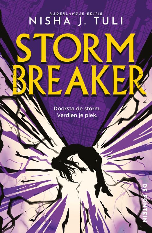 Omslag van Storm Breaker