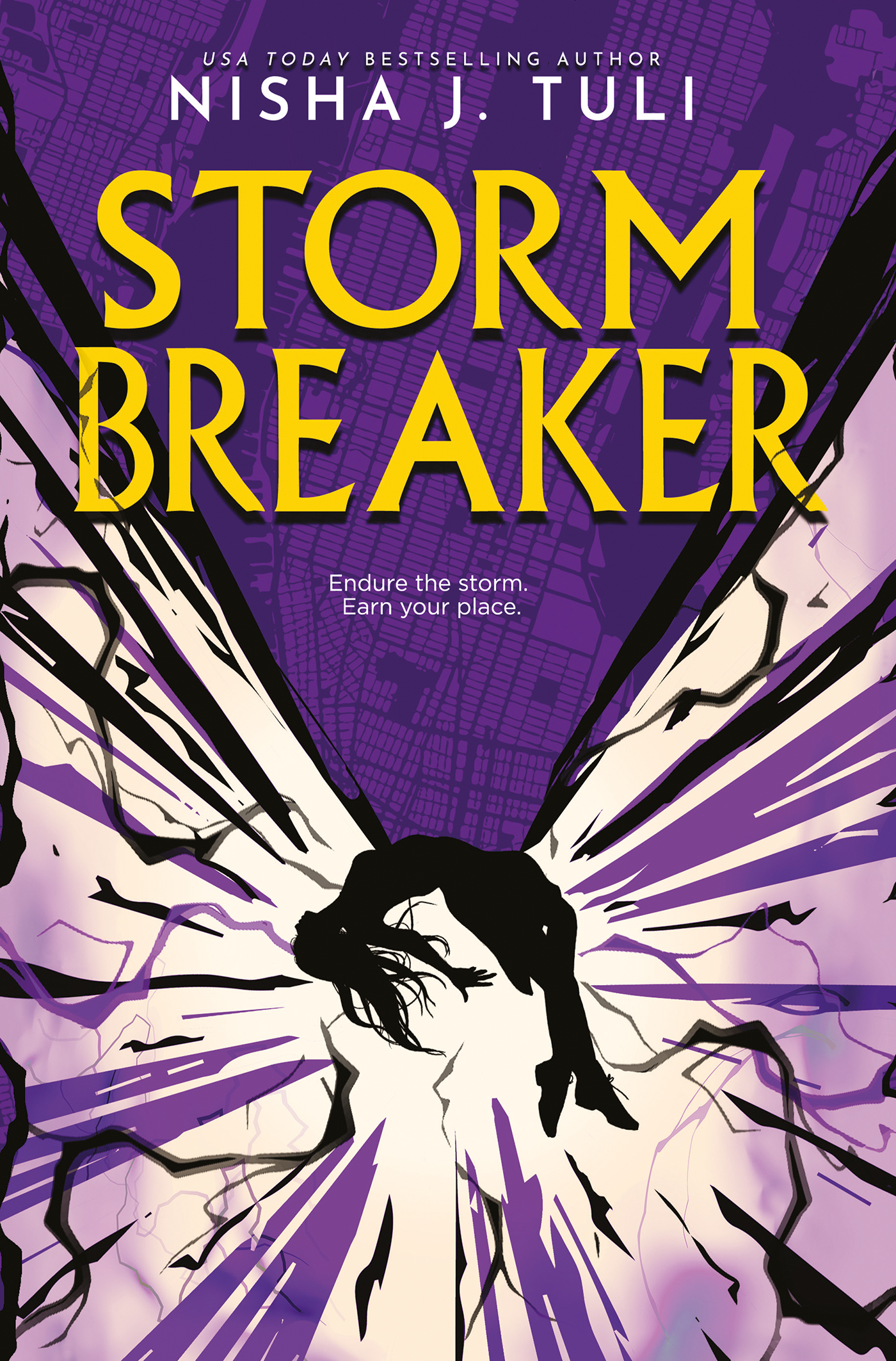Omslag van Storm Breaker