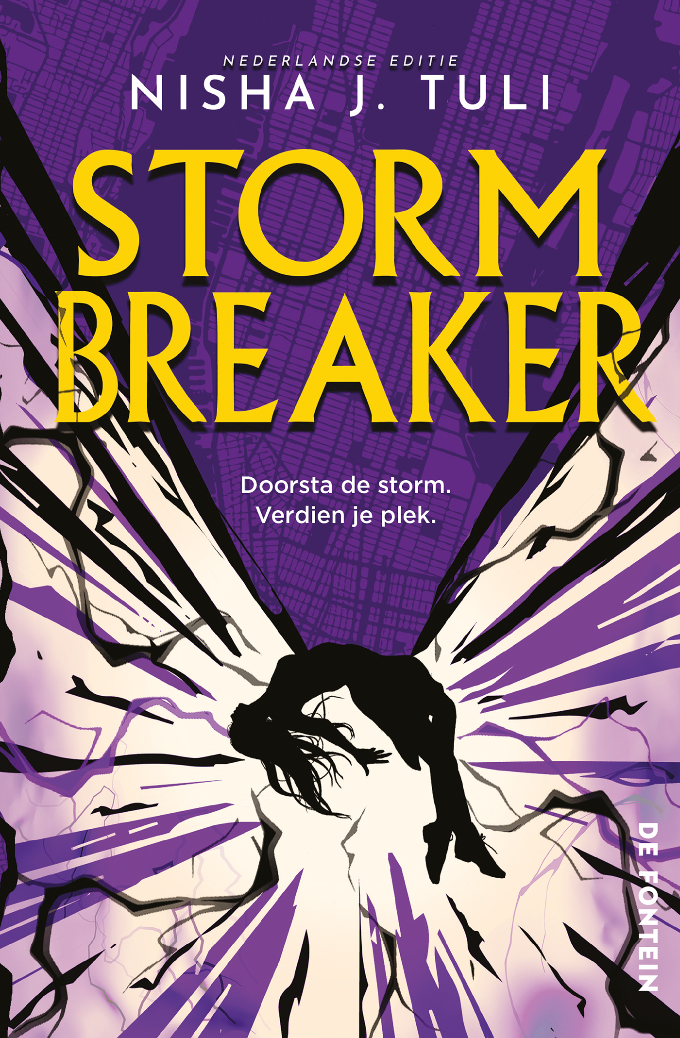 Omslag van Storm Breaker