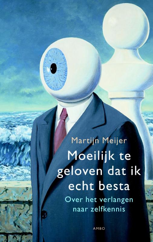 Omslag van Moeilijk te geloven dat ik echt besta