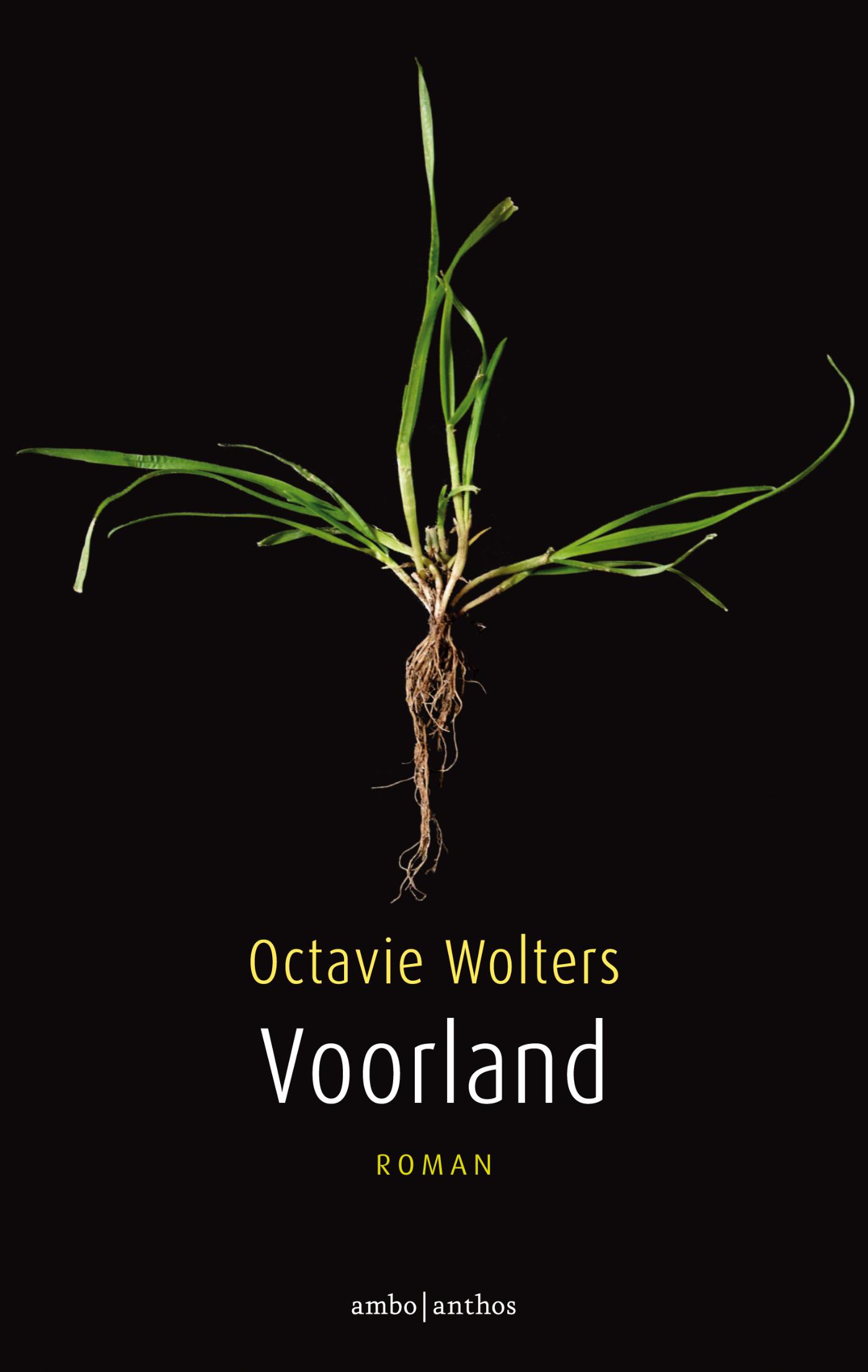 Omslag van Voorland