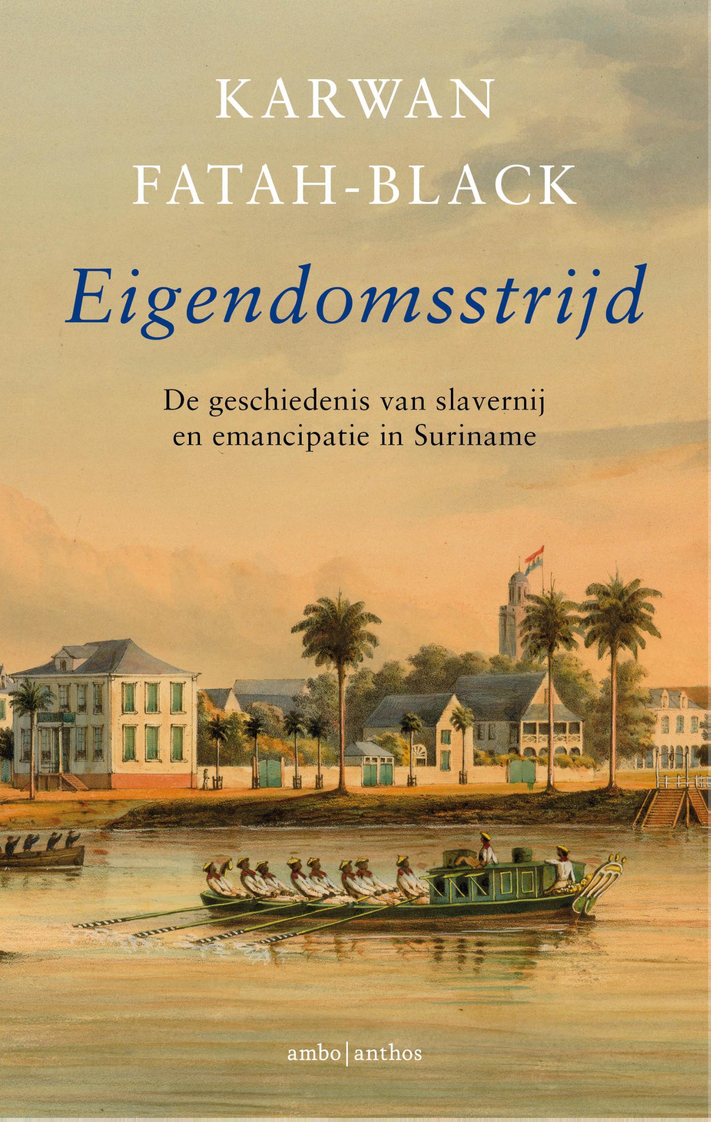 Omslag van Eigendomsstrijd