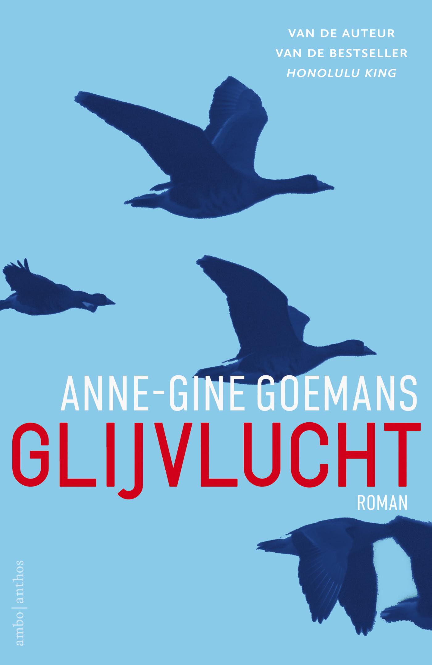Omslag van Glijvlucht
