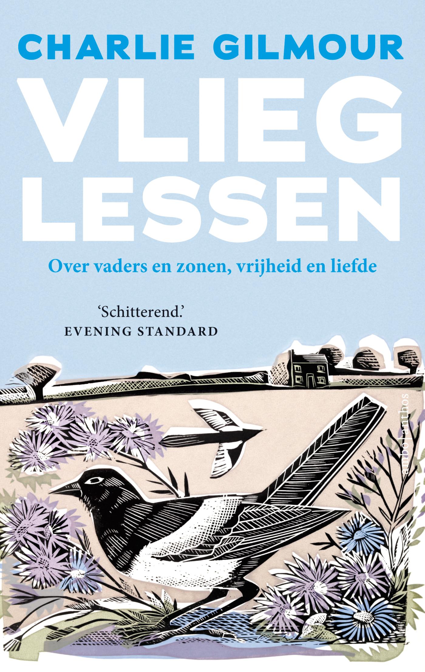 Omslag van Vlieglessen