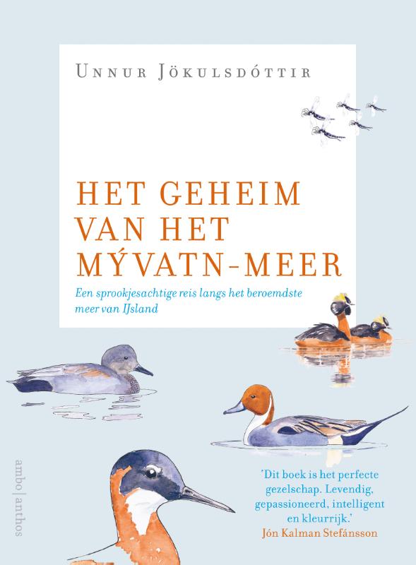 Omslag van Het geheim van het Mývatnmeer