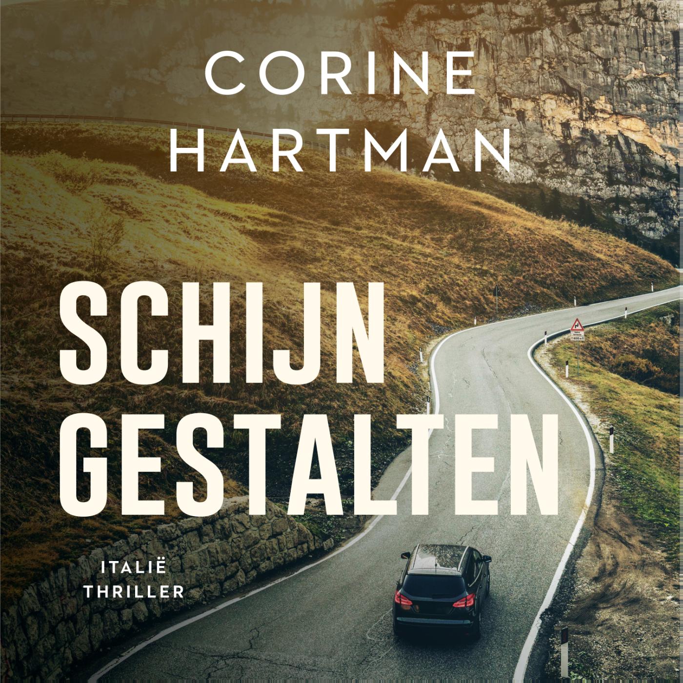 Omslag van Schijngestalten