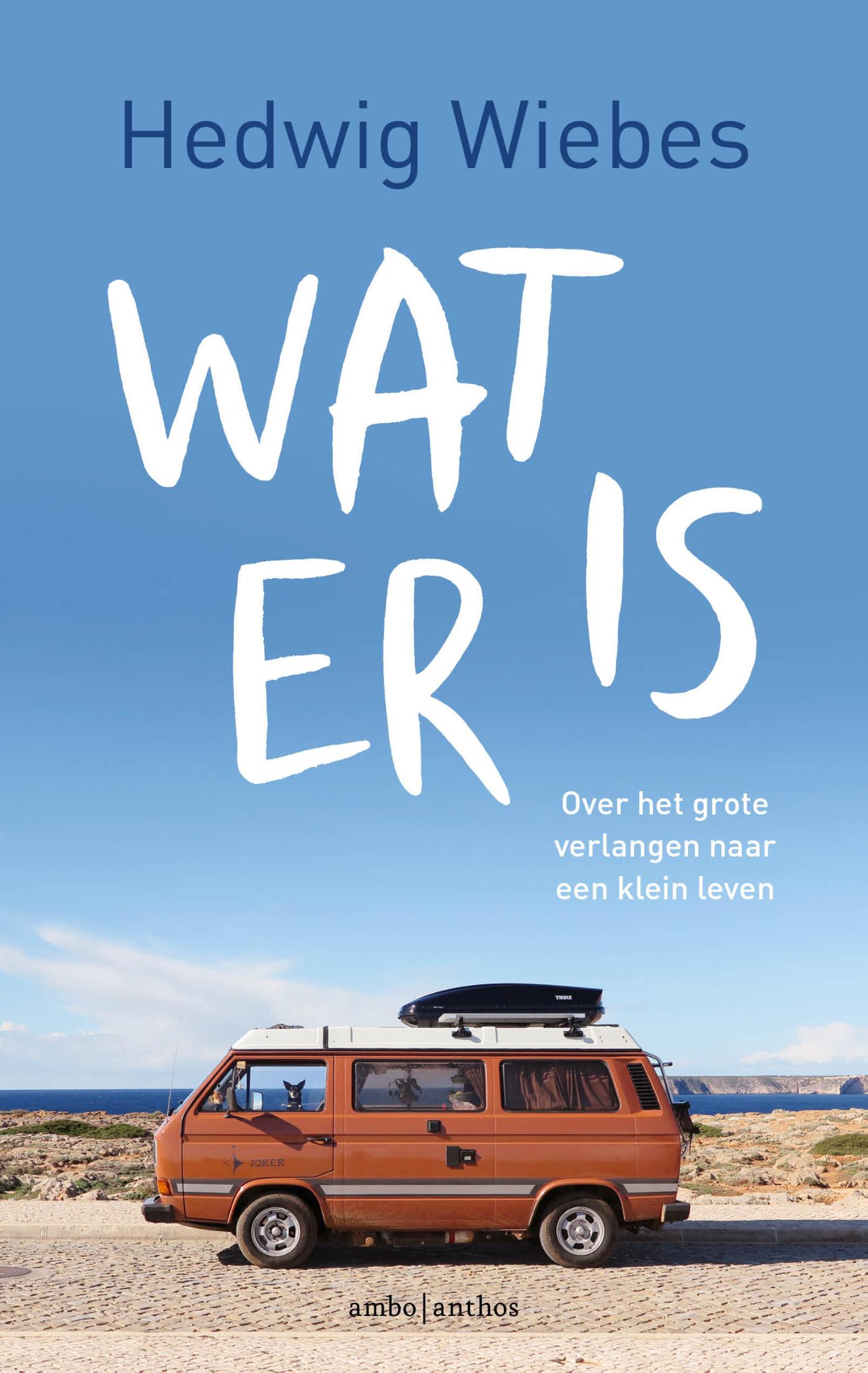Omslag van Wat er is