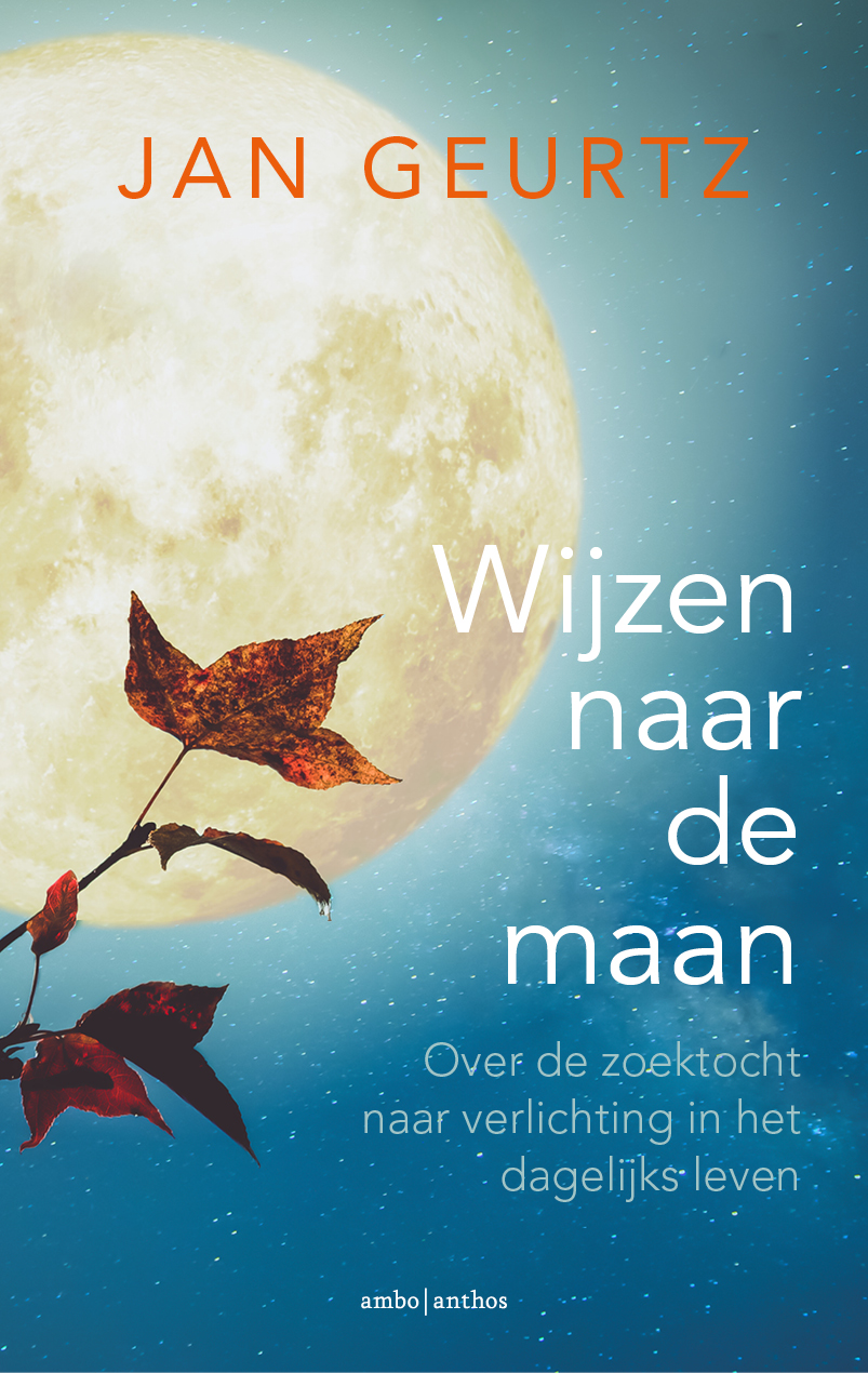 Omslag van Wijzen naar de maan