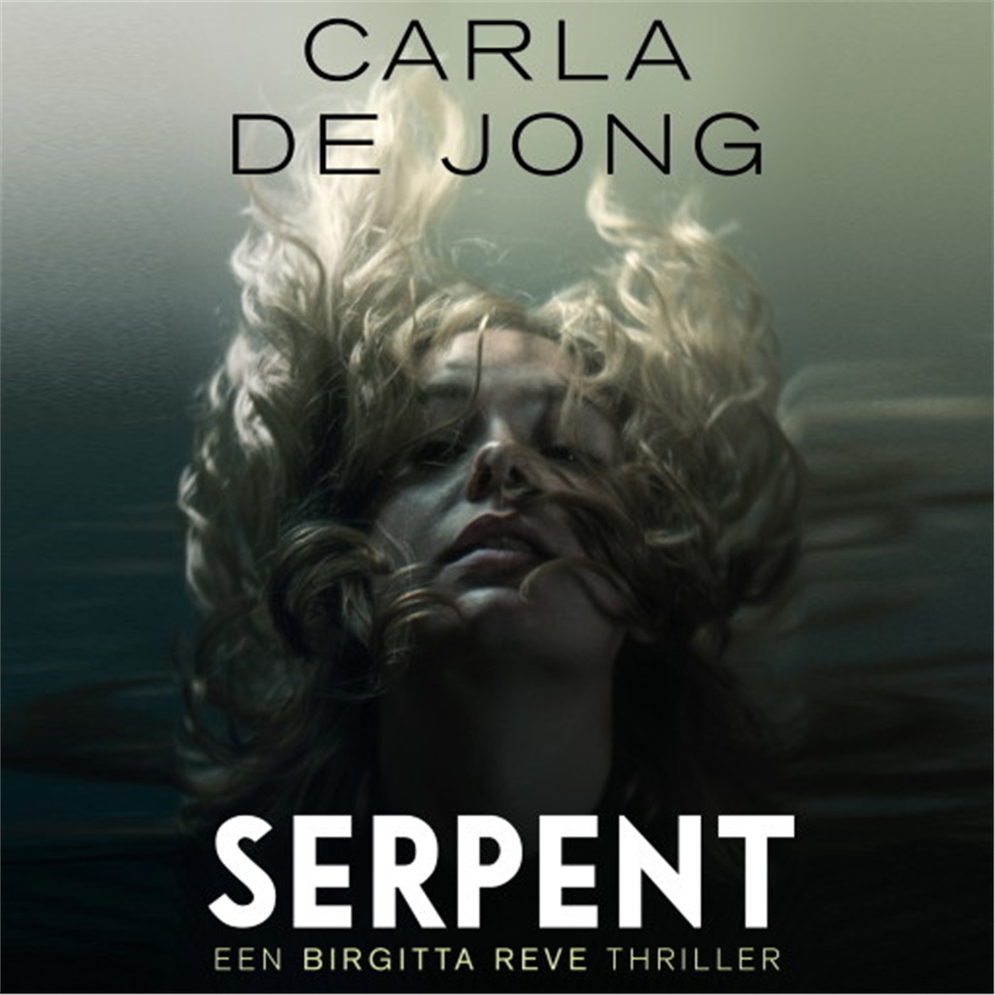 Omslag van Serpent