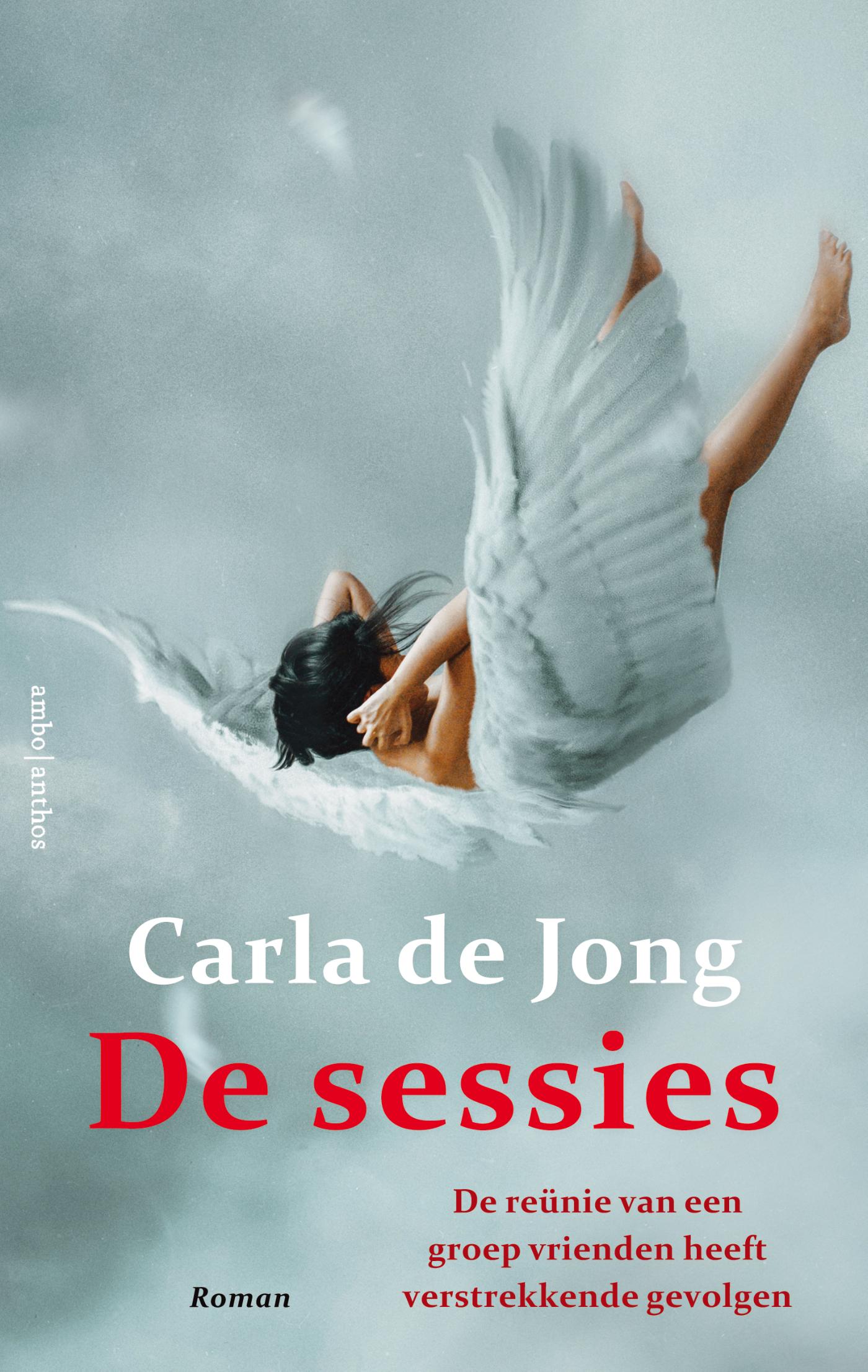 Omslag van De sessies