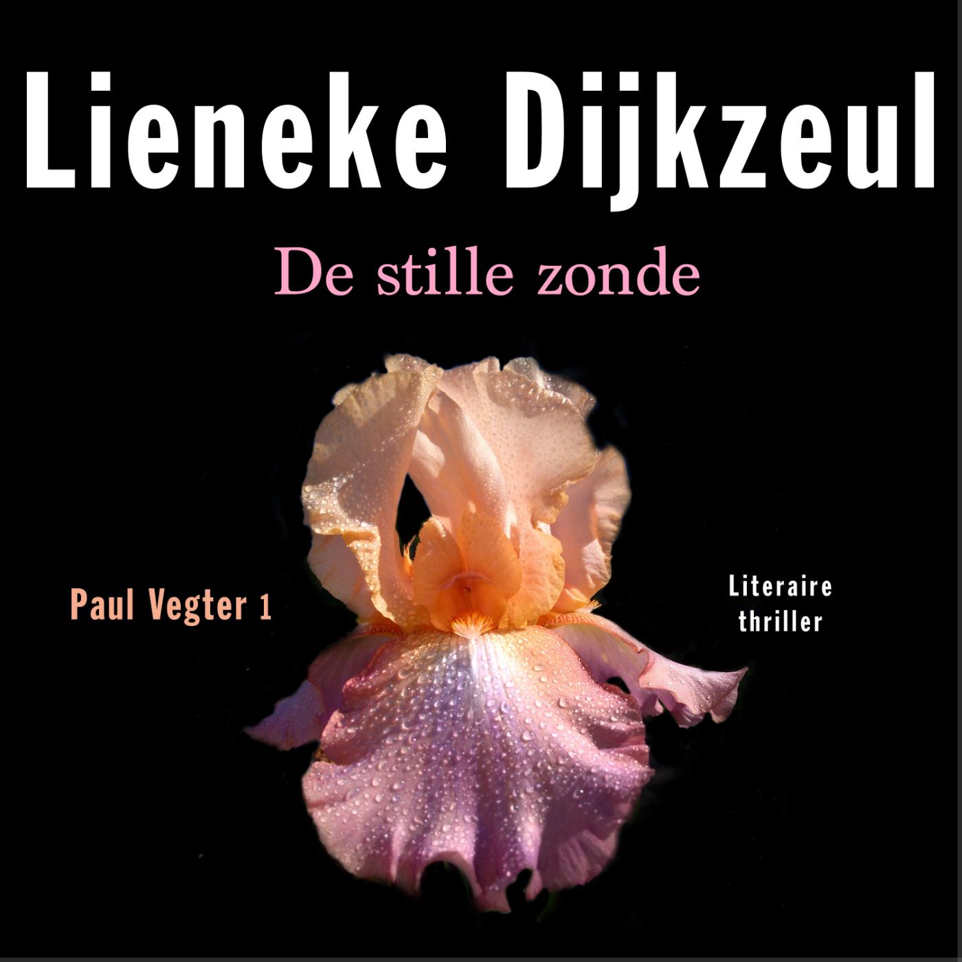 Omslag van De stille zonde