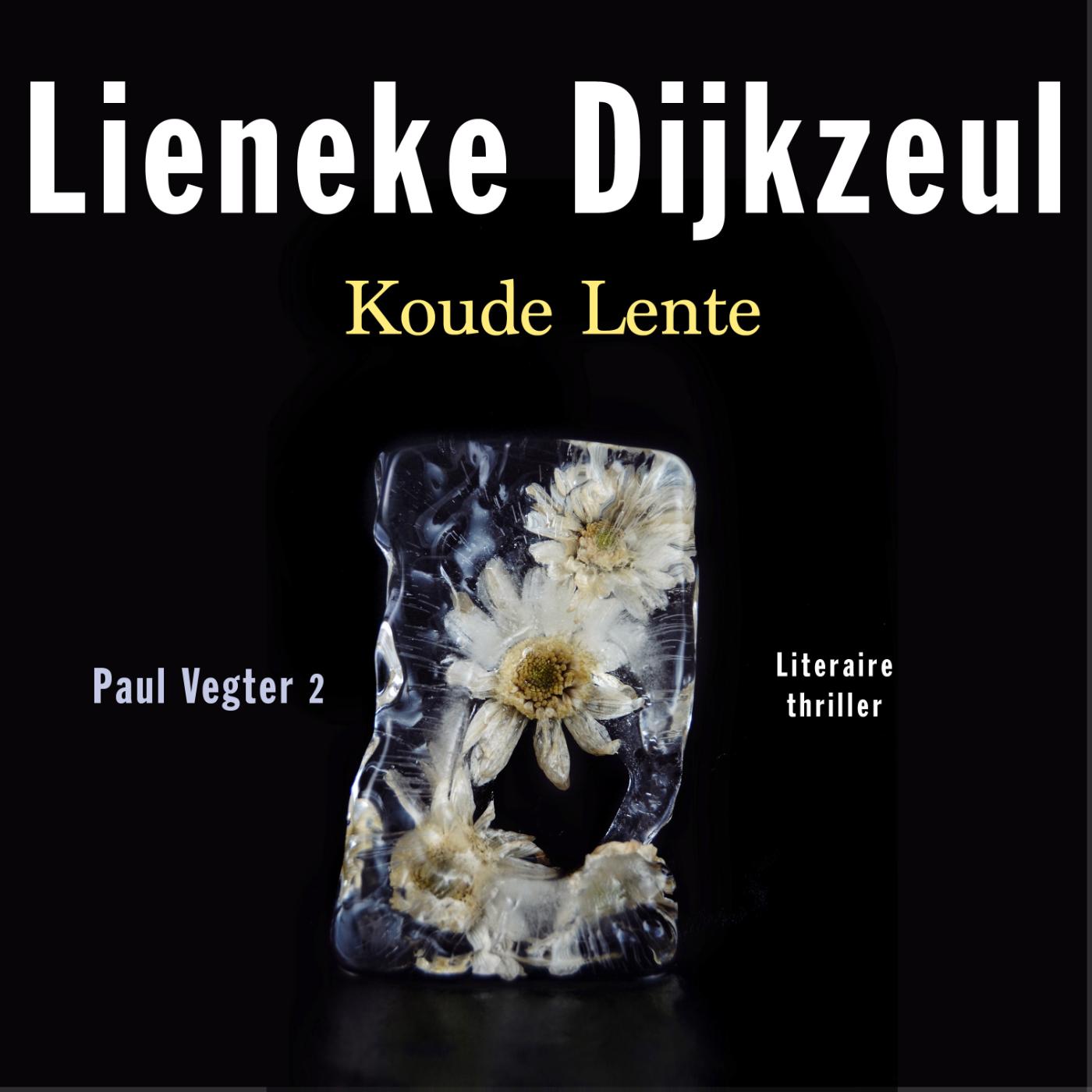 Omslag van Koude lente