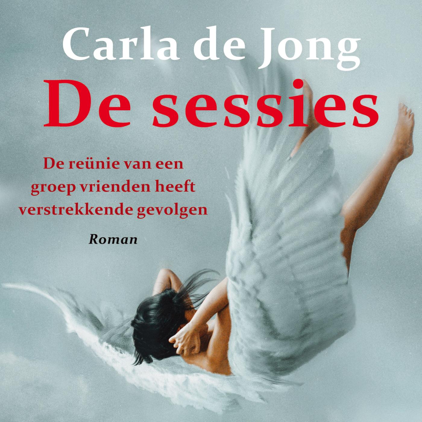 Omslag van De sessies