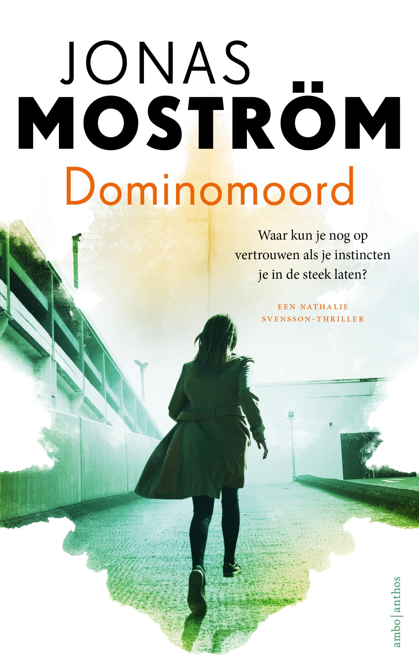 Omslag van Dominomoord