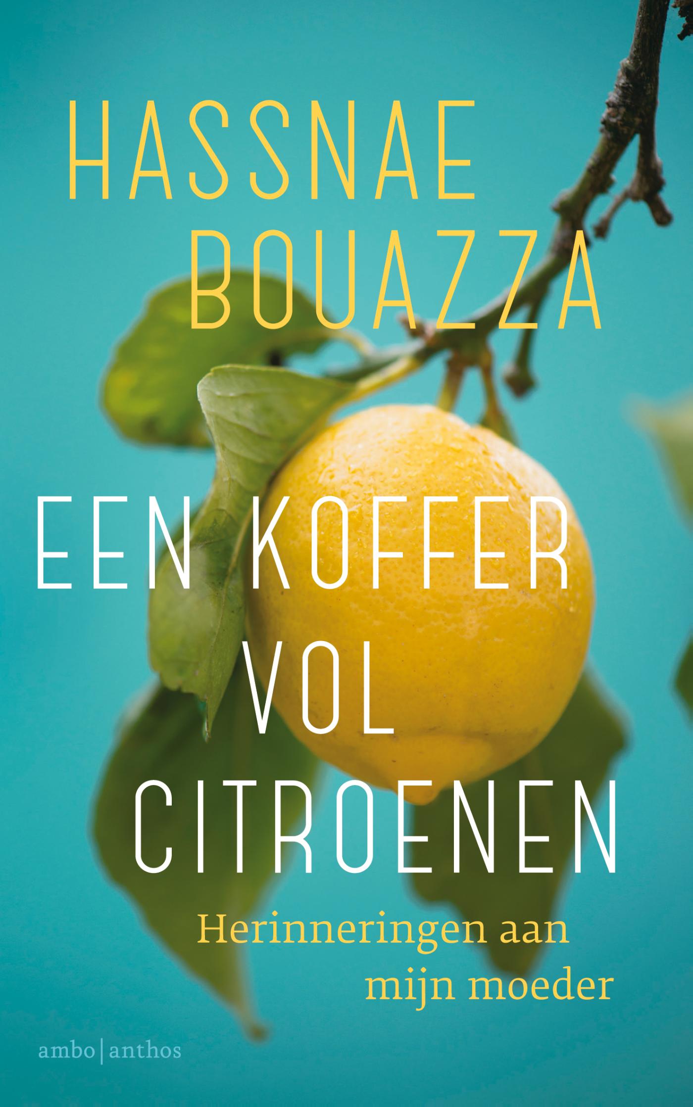 Omslag van Een koffer vol citroenen