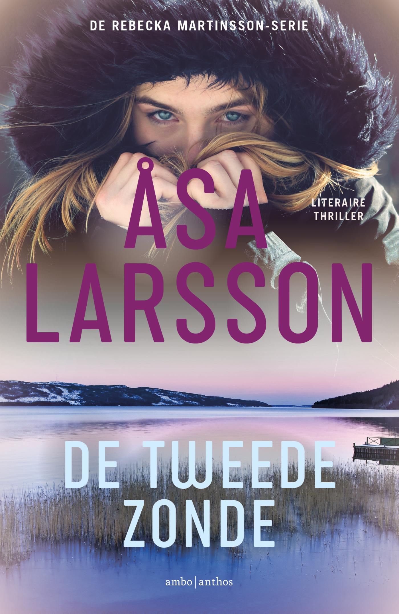 Omslag van De tweede zonde