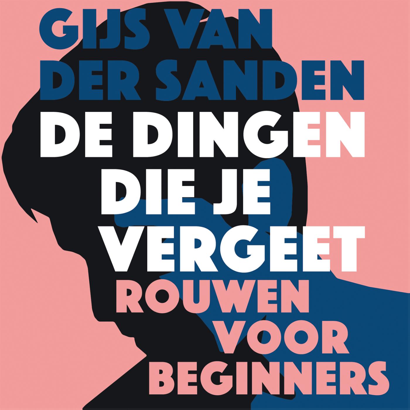 Omslag van De dingen die je vergeet