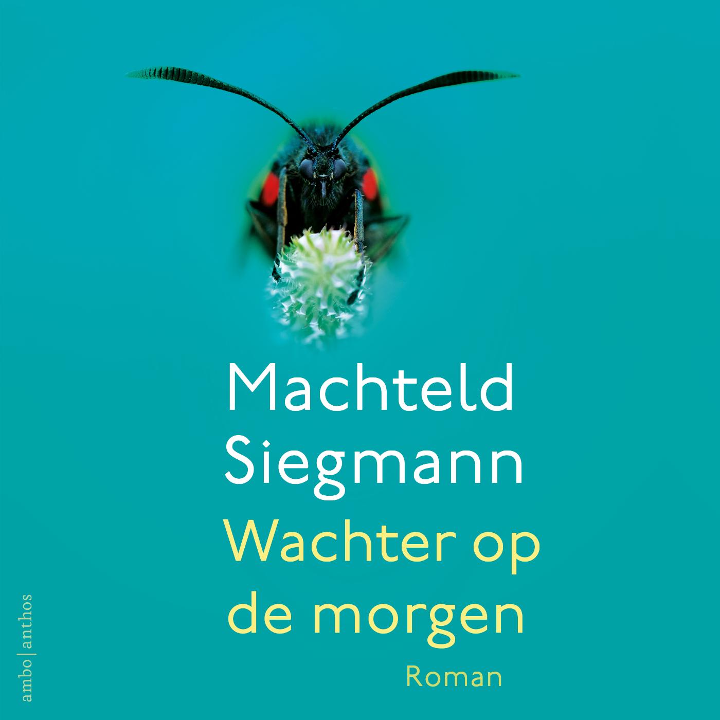 Omslag van Wachter op de morgen