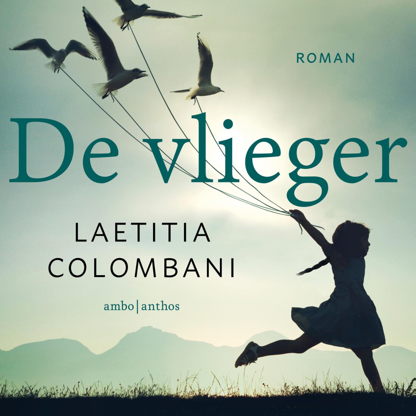 Omslag van De vlieger