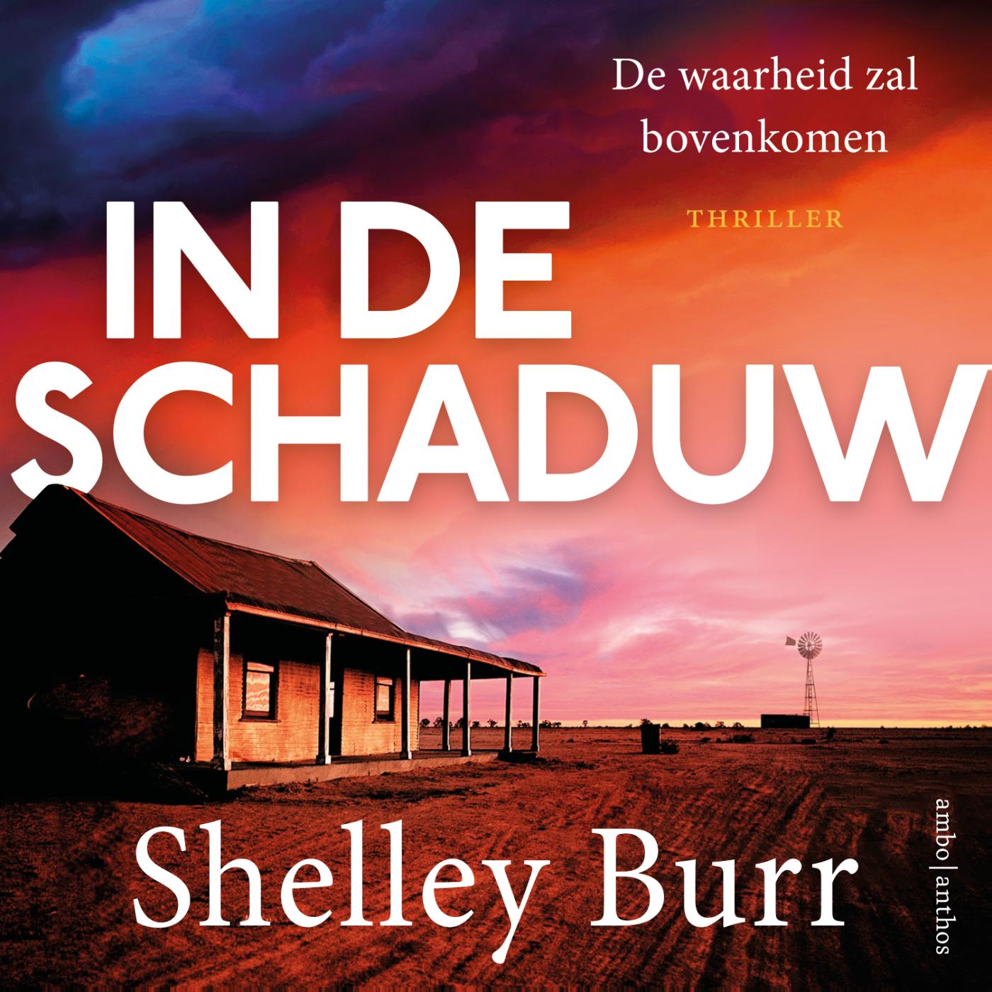 Omslag van In de schaduw