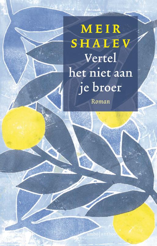 Omslag van Vertel het niet aan je broer