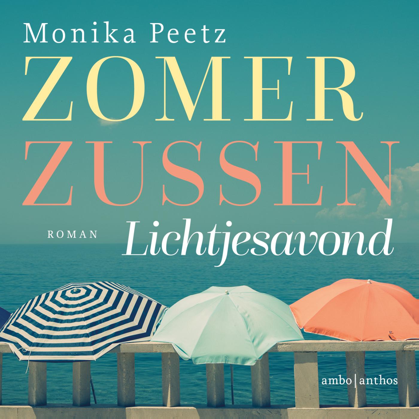 Omslag van Lichtjesavond