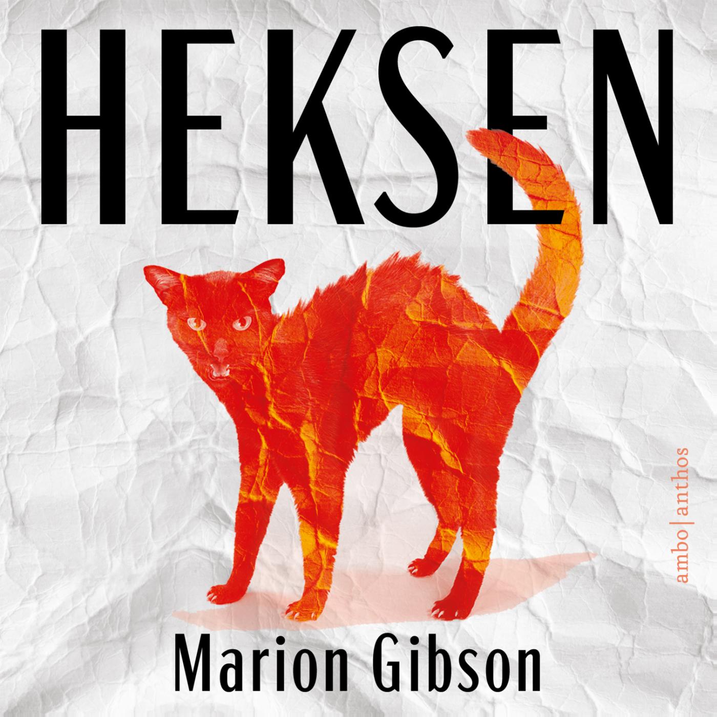 Omslag van Heksen