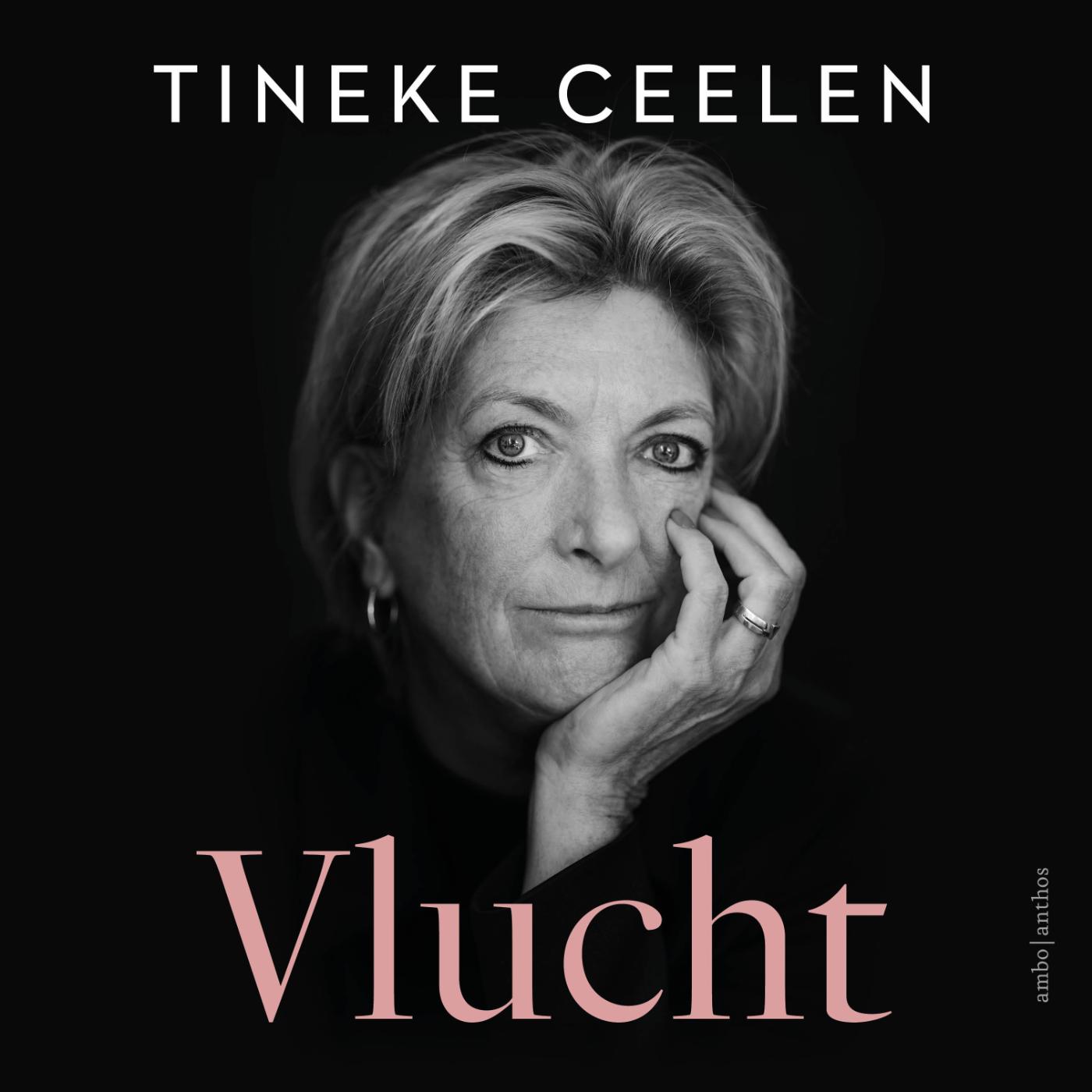 Omslag van Vlucht