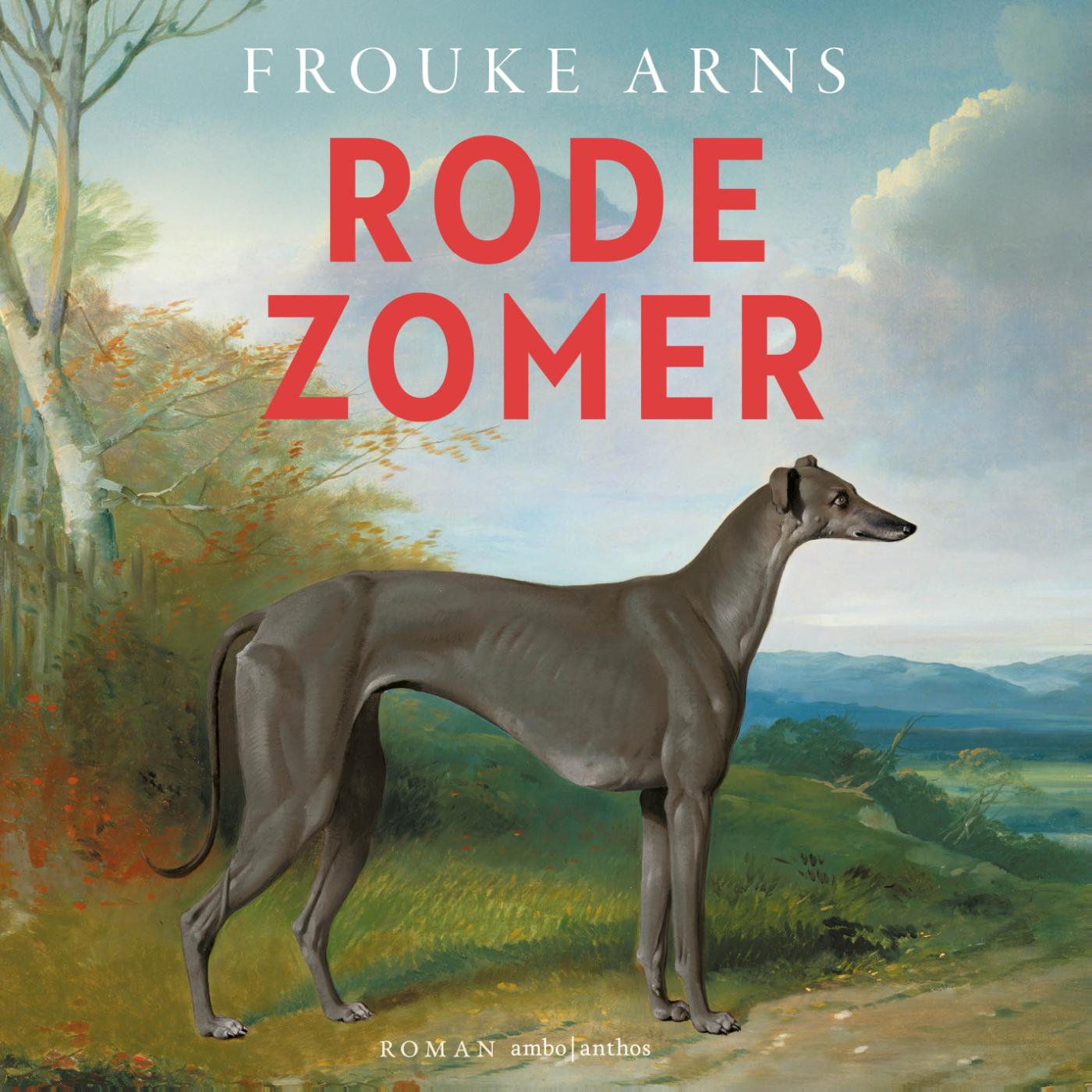 Omslag van Rode zomer