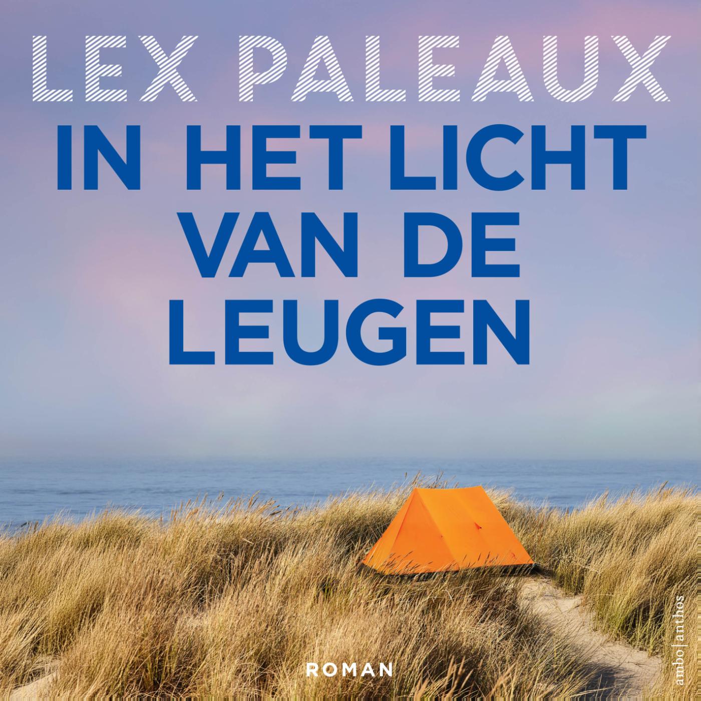 Omslag van In het licht van de leugen