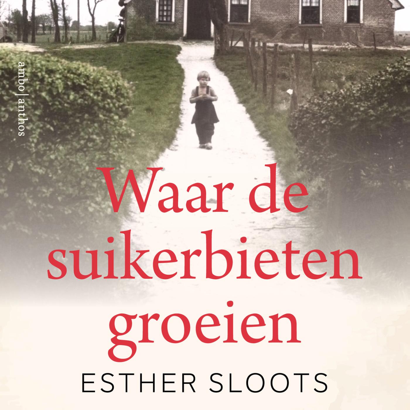 Omslag van Waar de suikerbieten groeien