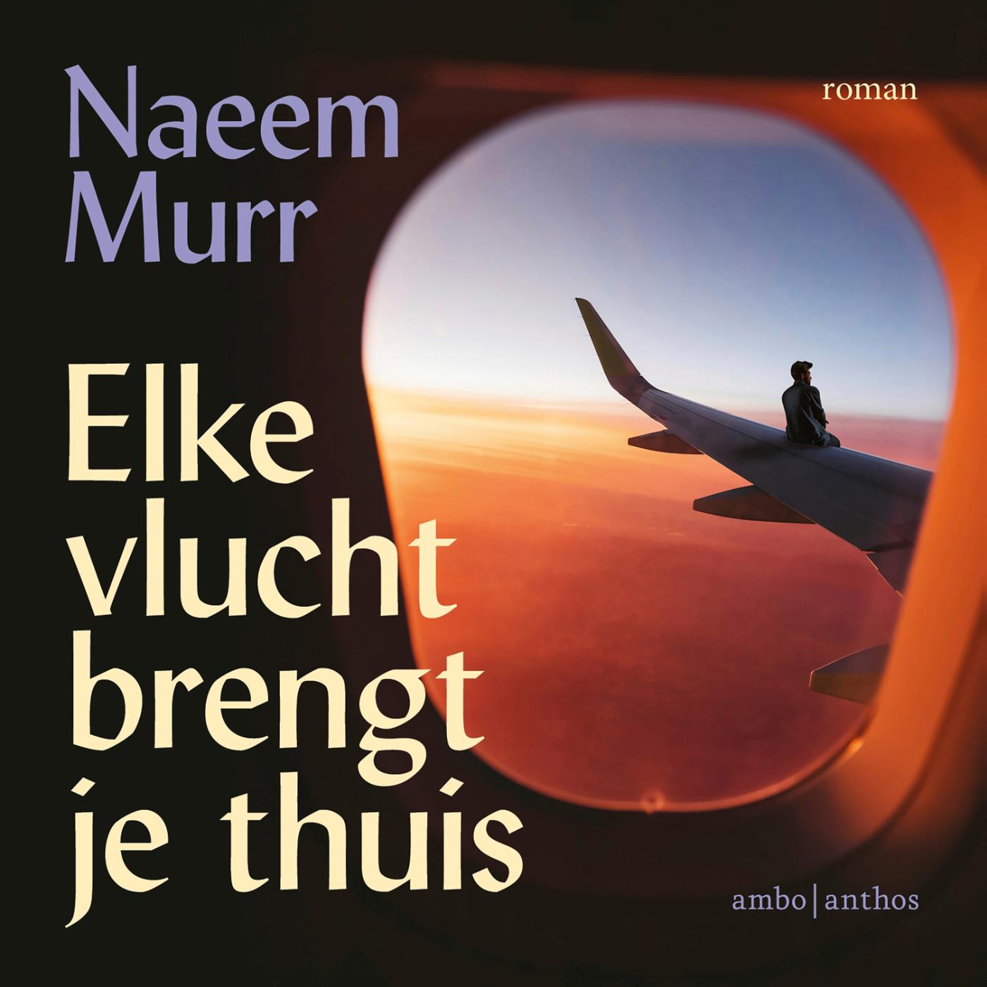 Omslag van Elke vlucht brengt je thuis