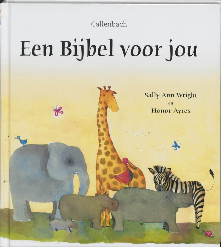 Omslag van Een Bijbel voor jou