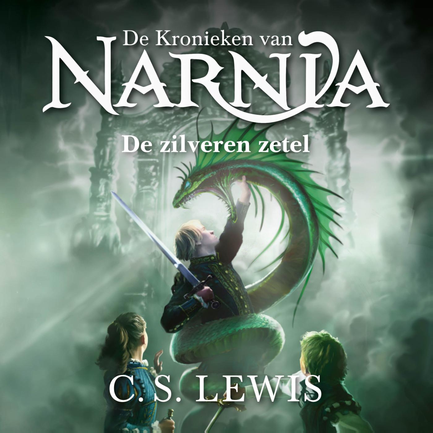 Omslag van De zilveren zetel