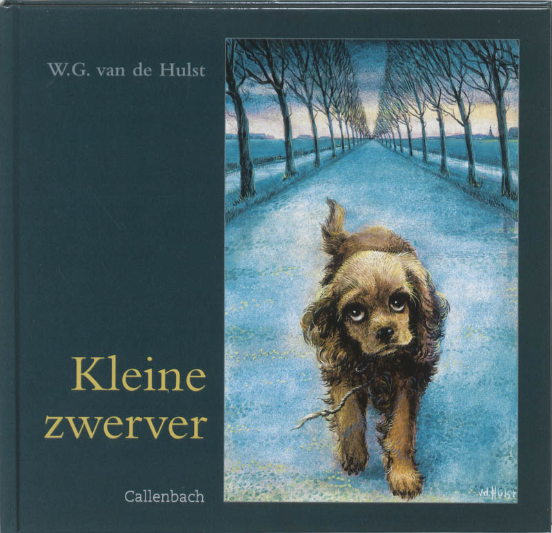 Omslag van Kleine zwerver